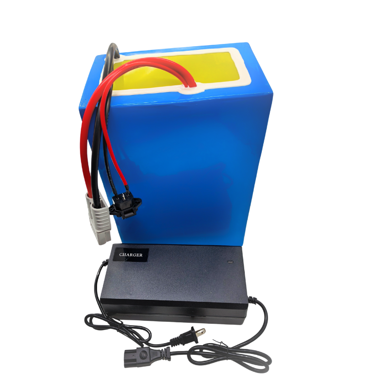 72V 100Ah Li-Ion mit Ladegerät – 72V 60Ah Lifepo4 Battery Pack Bewertung und Preis